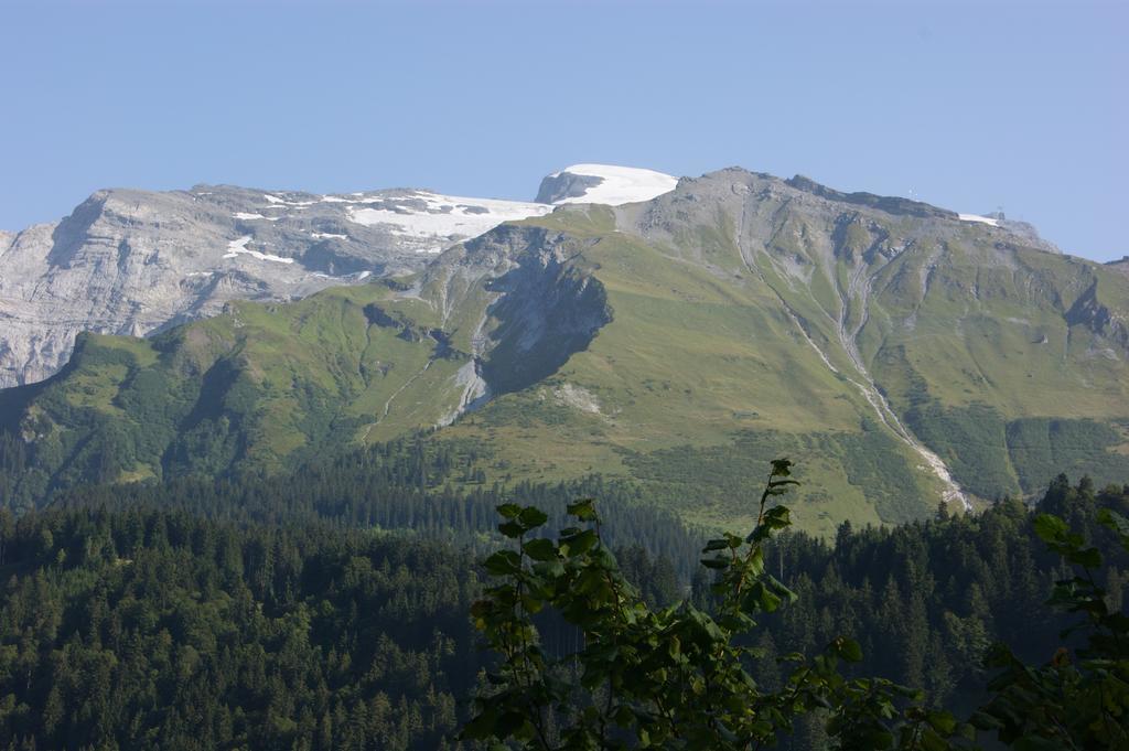 Hotel Schweizerhof Engelberg Bagian luar foto